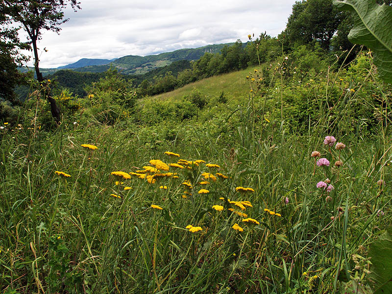 Oasi naturalistica del Carmine